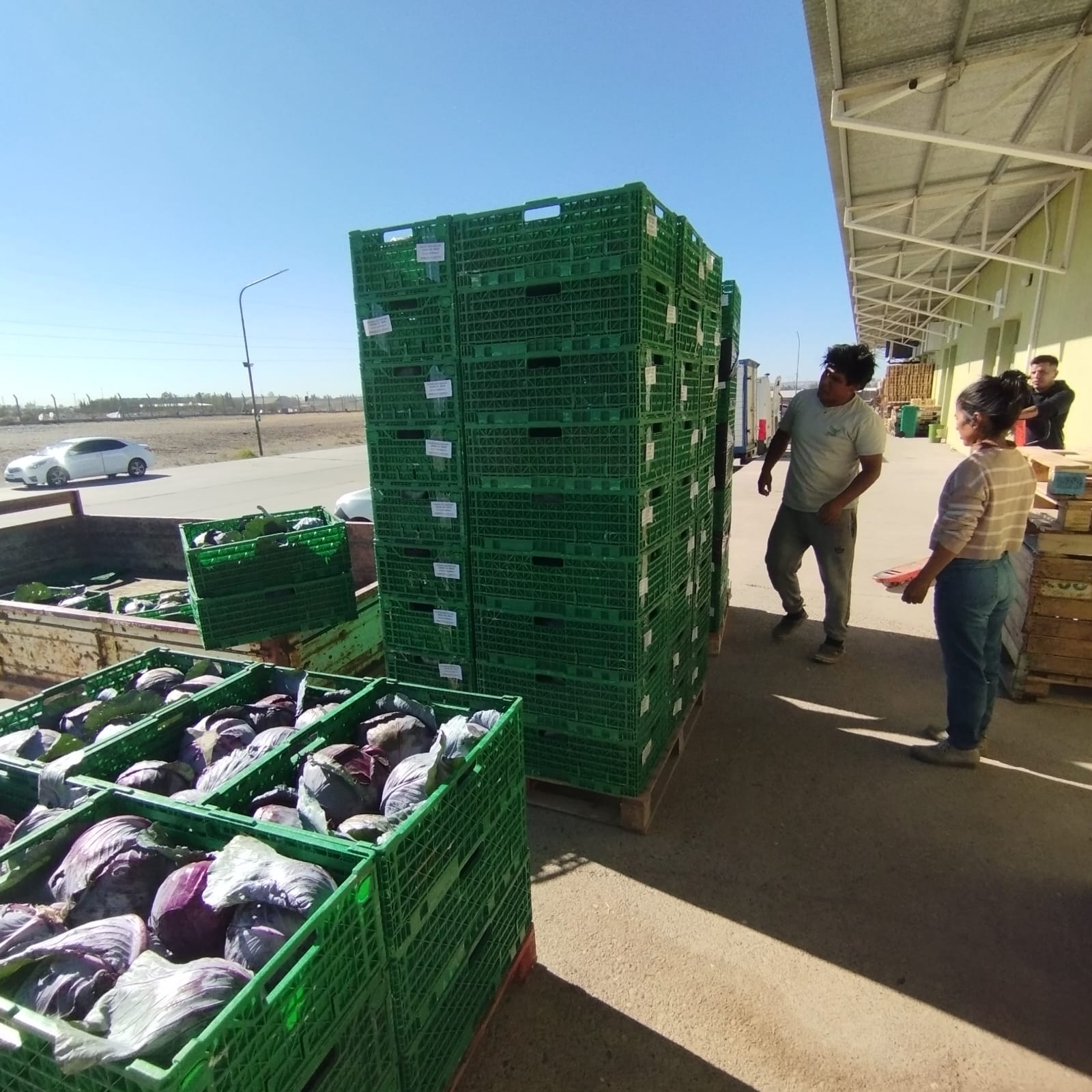Provincia avanza en la apertura de nuevos mercados para productores del Valle Inferior del Río Chubut